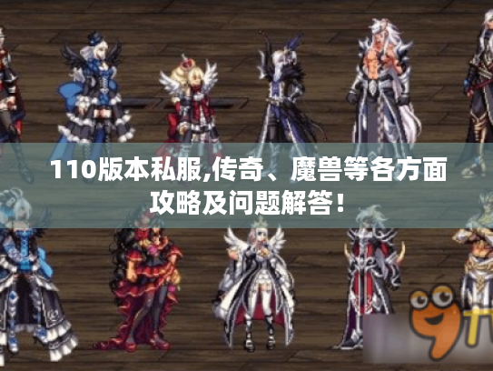 110版本私服,传奇、魔兽等各方面攻略及问题解答！