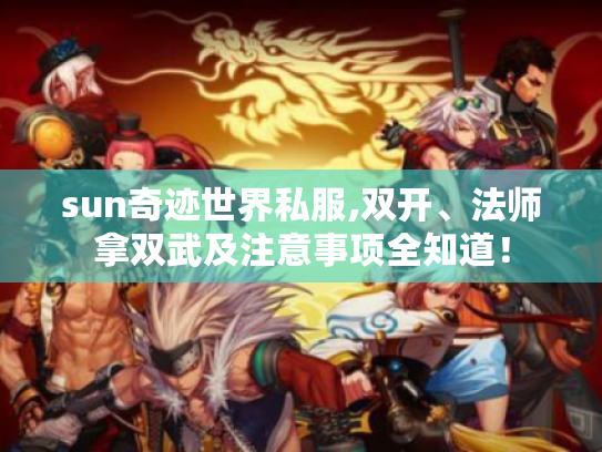 sun奇迹世界私服,双开、法师拿双武及注意事项全知道！