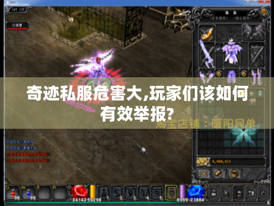 奇迹私服危害大,玩家们该如何有效举报?