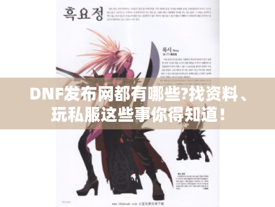 DNF发布网都有哪些?找资料、玩私服这些事你得知道！