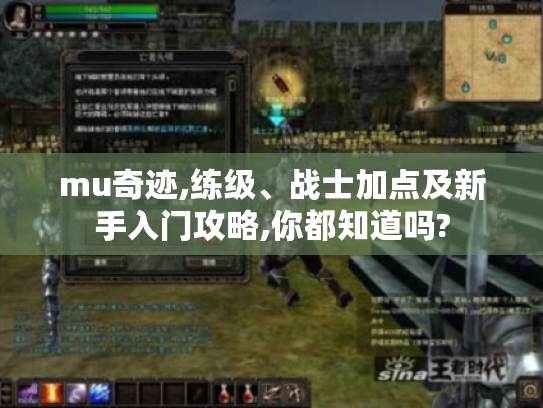 mu奇迹,练级、战士加点及新手入门攻略,你都知道吗? mu奇迹,练级、战士加点及新手入门攻略,你都知道吗?