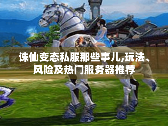 诛仙变态私服那些事儿,玩法、风险及热门服务器推荐