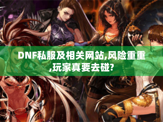 DNF私服及相关网站,风险重重,玩家真要去碰?