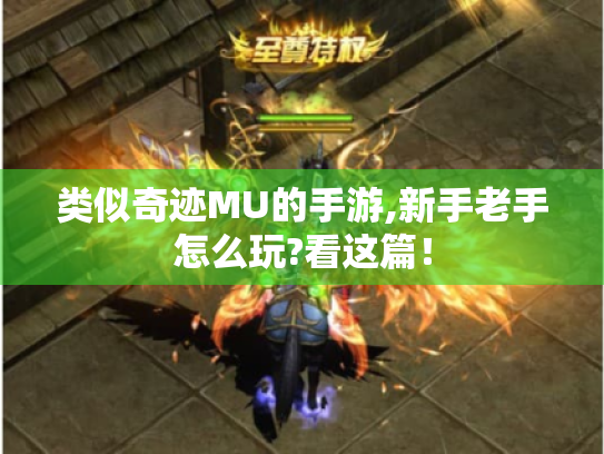 类似奇迹MU的手游,新手老手怎么玩?看这篇！