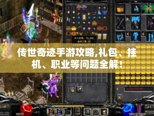 传世奇迹手游攻略,礼包、挂机、职业等问题全解！