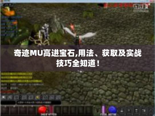奇迹MU高进宝石,用法、获取及实战技巧全知道！