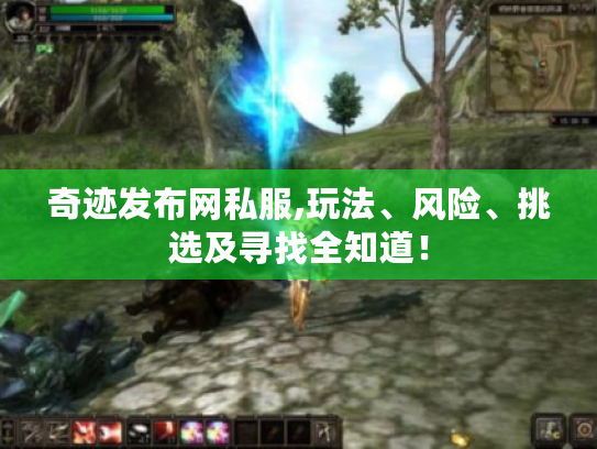 奇迹发布网私服,玩法、风险、挑选及寻找全知道！