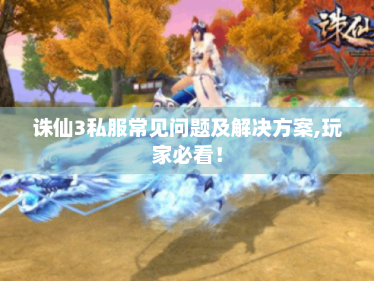 诛仙3私服常见问题及解决方案,玩家必看！