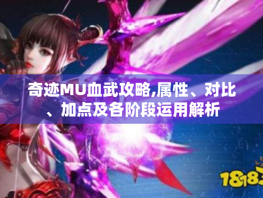 奇迹MU血武攻略,属性、对比、加点及各阶段运用解析