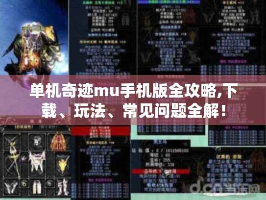 单机奇迹mu手机版全攻略,下载、玩法、常见问题全解！