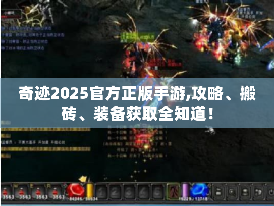 奇迹2025官方正版手游,攻略、搬砖、装备获取全知道! 奇迹2025官方正版手游,攻略、搬砖、装备获取全知道!
