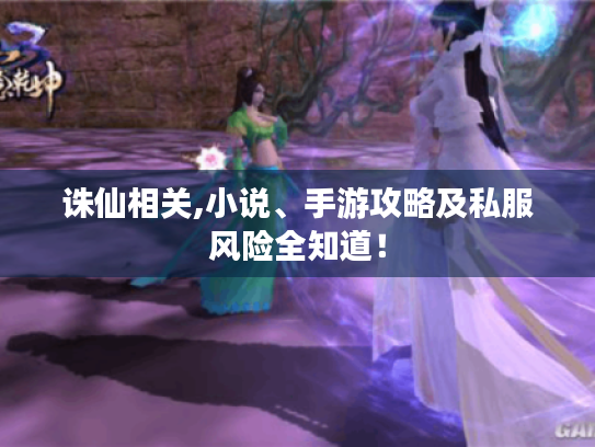 诛仙相关,小说、手游攻略及私服风险全知道！