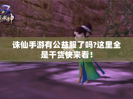 诛仙手游有公益服了吗?这里全是干货快来看！