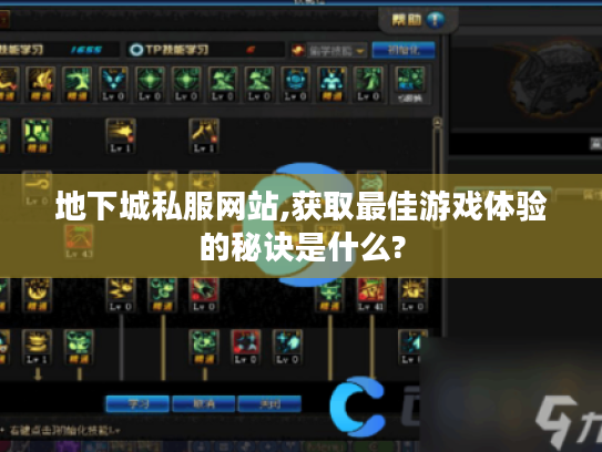 地下城私服网站,获取最佳游戏体验的秘诀是什么? 地下城私服网站,获取最佳游戏体验的秘诀是什么?