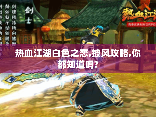 热血江湖白色之恋,披风攻略,你都知道吗? 热血江湖白色之恋,披风攻略,你都知道吗?