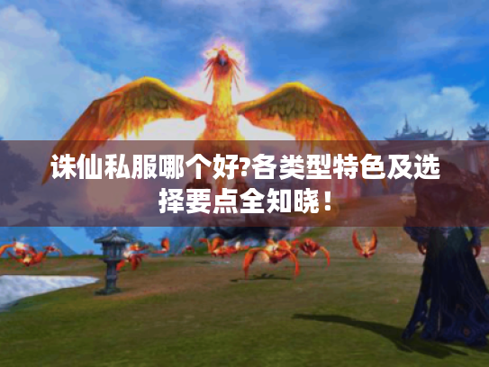 诛仙私服哪个好?各类型特色及选择要点全知晓! 诛仙私服哪个好?各类型特色及选择要点全知晓!