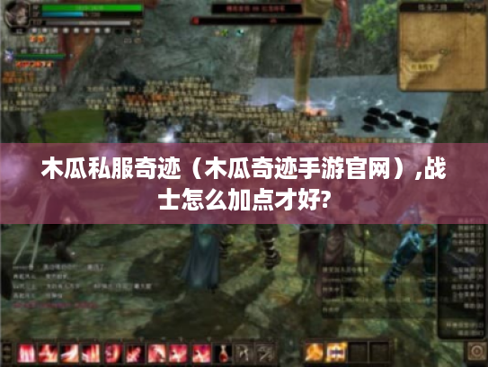 木瓜私服奇迹（木瓜奇迹手游官网）,战士怎么加点才好?