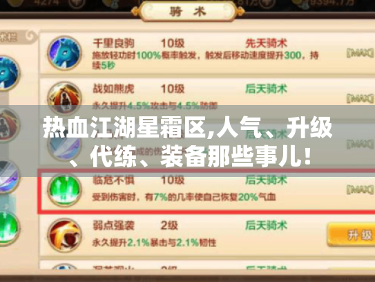 热血江湖星霜区,人气、升级、代练、装备那些事儿！