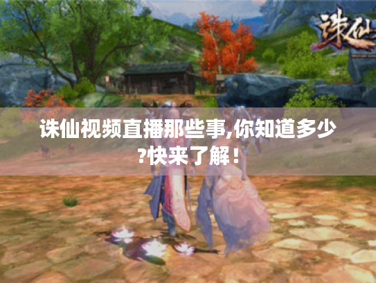 诛仙视频直播那些事,你知道多少?快来了解！