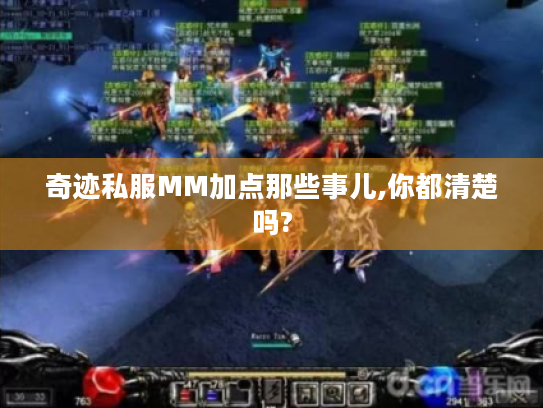 奇迹私服MM加点那些事儿,你都清楚吗?