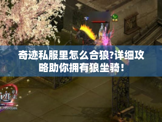 奇迹私服里怎么合狼?详细攻略助你拥有狼坐骑！