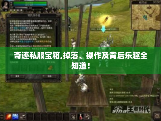 奇迹私服宝箱,掉落、操作及背后乐趣全知道! 奇迹私服宝箱,掉落、操作及背后乐趣全知道!