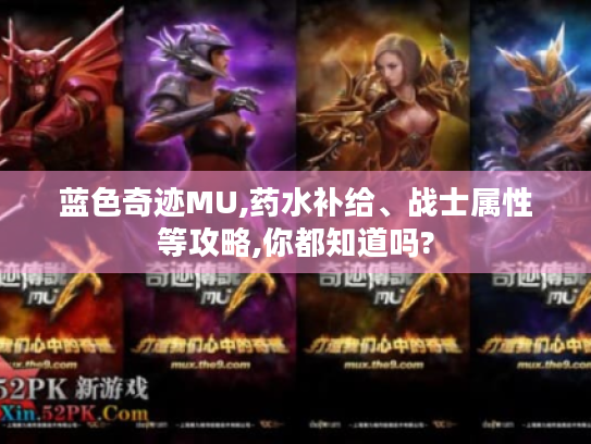 蓝色奇迹MU,药水补给、战士属性等攻略,你都知道吗?