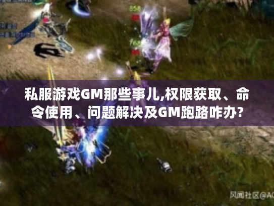 私服游戏GM那些事儿,权限获取、命令使用、问题解决及GM跑路咋办? 私服游戏GM那些事儿,权限获取、命令使用、问题解决及GM跑路咋办?