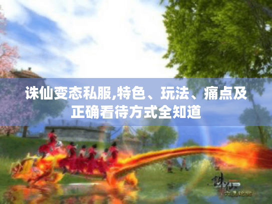 诛仙变态私服,特色、玩法、痛点及正确看待方式全知道 诛仙变态私服,特色、玩法、痛点及正确看待方式全知道