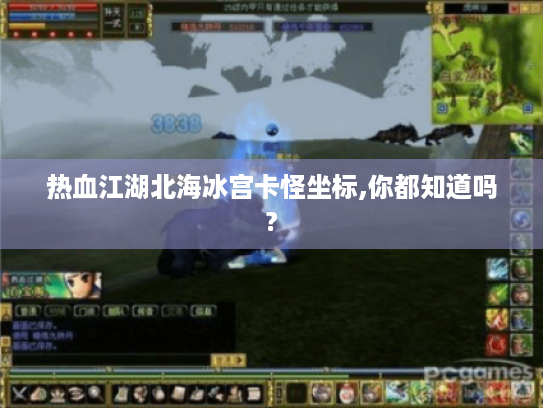 热血江湖北海冰宫卡怪坐标,你都知道吗? 热血江湖北海冰宫卡怪坐标,你都知道吗?