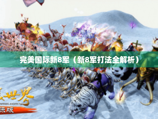 完美国际新8军（新8军打法全解析）