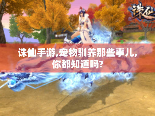 诛仙手游,宠物驯养那些事儿,你都知道吗?