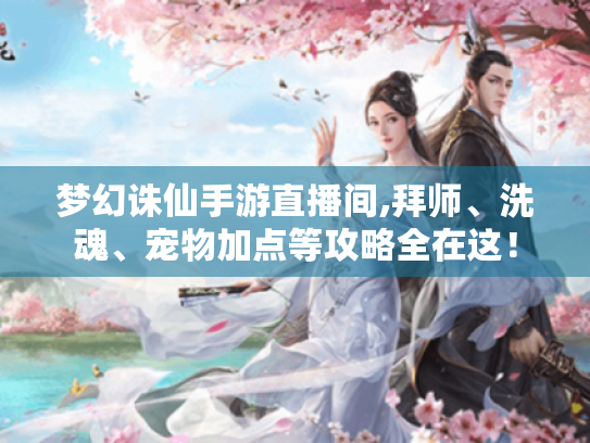 梦幻诛仙手游直播间,拜师、洗魂、宠物加点等攻略全在这！