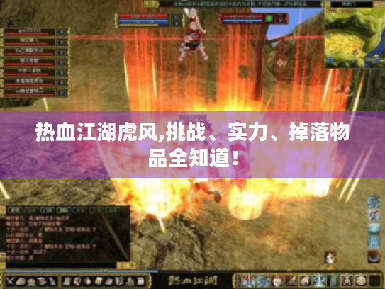 热血江湖虎风,挑战、实力、掉落物品全知道！