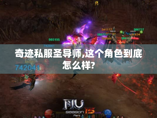 奇迹私服圣导师,这个角色到底怎么样?