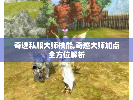 奇迹私服大师技能,奇迹大师加点全方位解析 奇迹私服大师技能,奇迹大师加点全方位解析