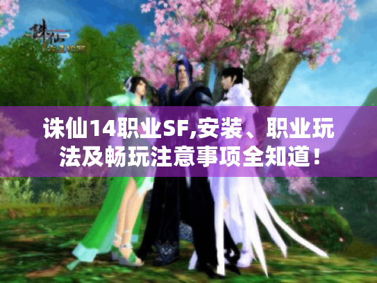 诛仙14职业SF,安装、职业玩法及畅玩注意事项全知道！
