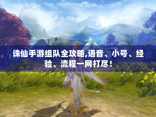 诛仙手游组队全攻略,语音、小号、经验、流程一网打尽! 诛仙手游组队全攻略,语音、小号、经验、流程一网打尽!
