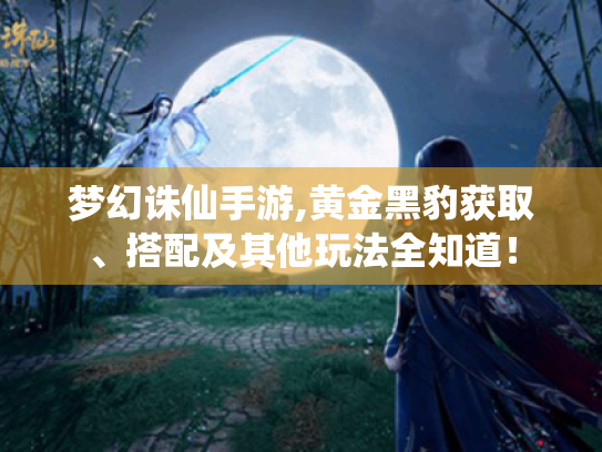 梦幻诛仙手游,黄金黑豹获取、搭配及其他玩法全知道! 梦幻诛仙手游,黄金黑豹获取、搭配及其他玩法全知道!
