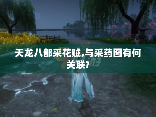 天龙八部采花贼,与采药图有何关联?
