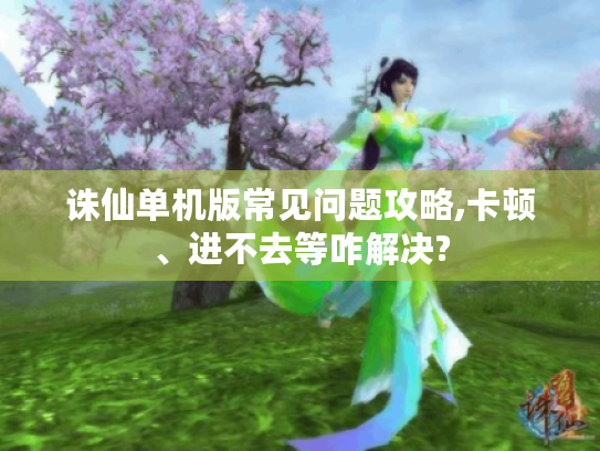 诛仙单机版常见问题攻略,卡顿、进不去等咋解决?