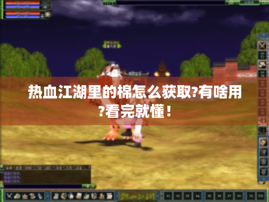 热血江湖里的棉怎么获取?有啥用?看完就懂！