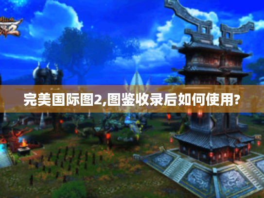 完美国际图2,图鉴收录后如何使用?