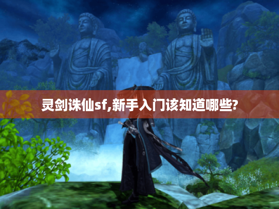 灵剑诛仙sf,新手入门该知道哪些?