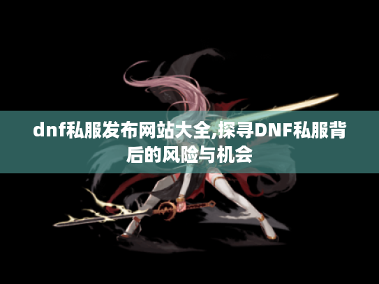 dnf私服发布网站大全,探寻DNF私服背后的风险与机会