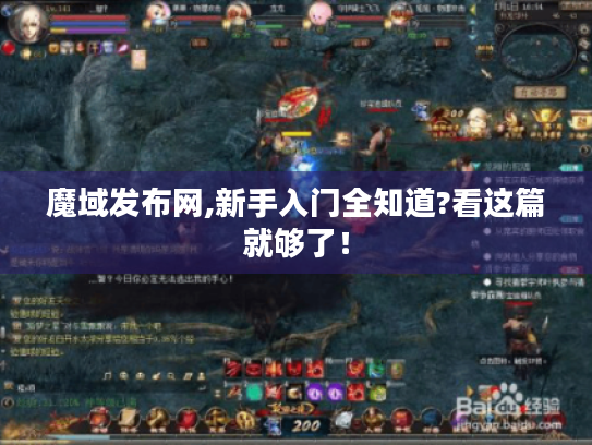 魔域发布网,新手入门全知道?看这篇就够了！