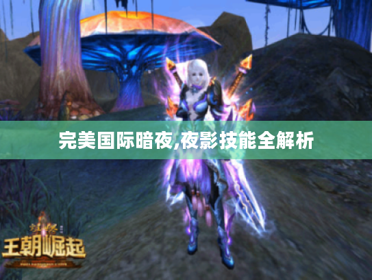完美国际暗夜,夜影技能全解析
