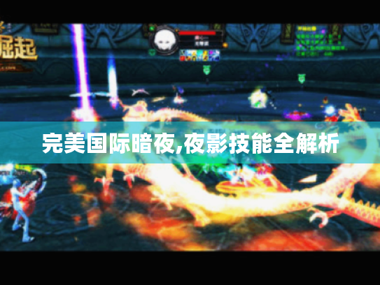 完美国际暗夜,夜影技能全解析