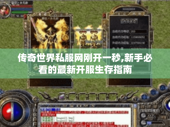 传奇世界私服网刚开一秒,新手必看的最新开服生存指南