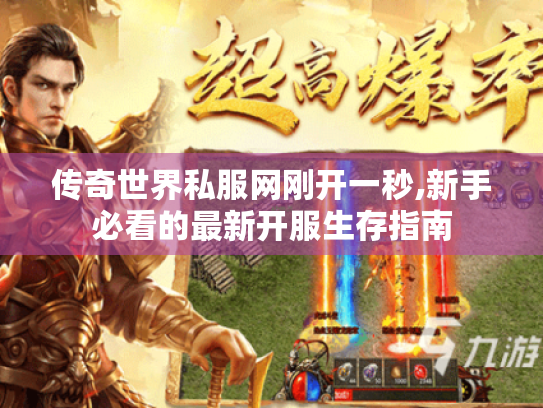 传奇世界私服网刚开一秒,新手必看的最新开服生存指南